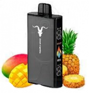 Descartavel Ignite V250 25.000 Puffs